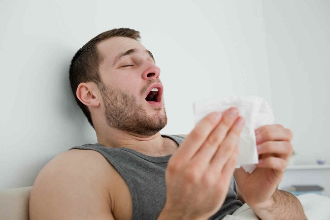 Limpieza domiciliaria: ¿alergia al polvo?