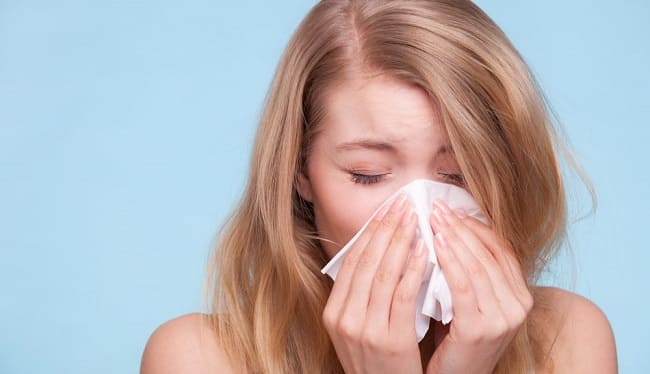 Contra la alergia al polvo, Domukea tiene tu solución