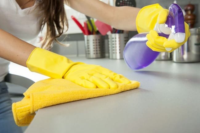 Limpieza doméstica: los productos de los profesionales 