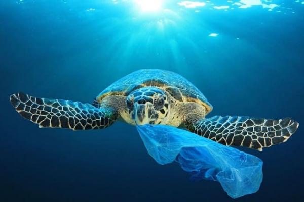 Limpieza del hogar en Bilbao: el inodoro no es un cubo de basura