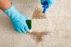Cuidado diario y limpieza de alfombras